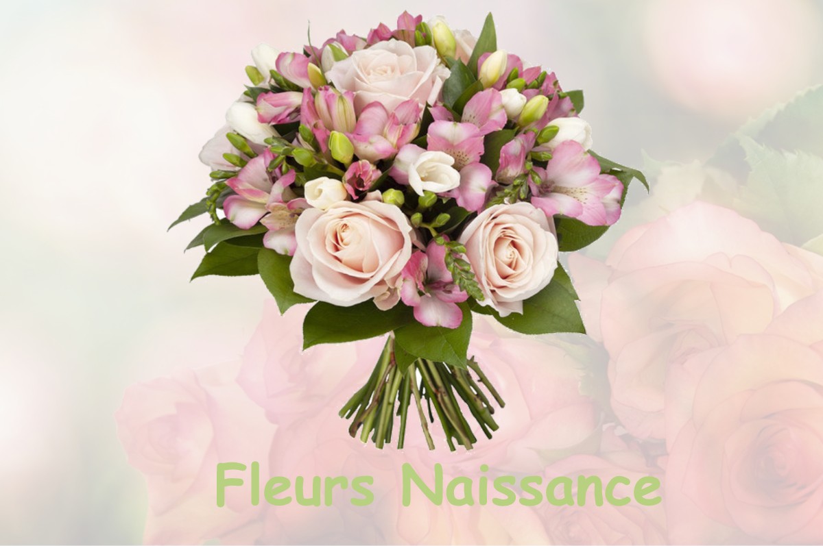fleurs naissance FERRIERES-SUR-SICHON